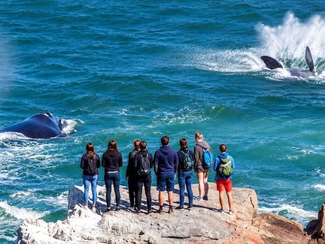 Never@home Hermanus