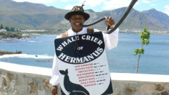 Hermanus Whale Crier, 2008