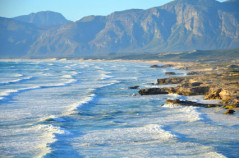 Hermanus Coast