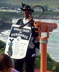 Whale Crier